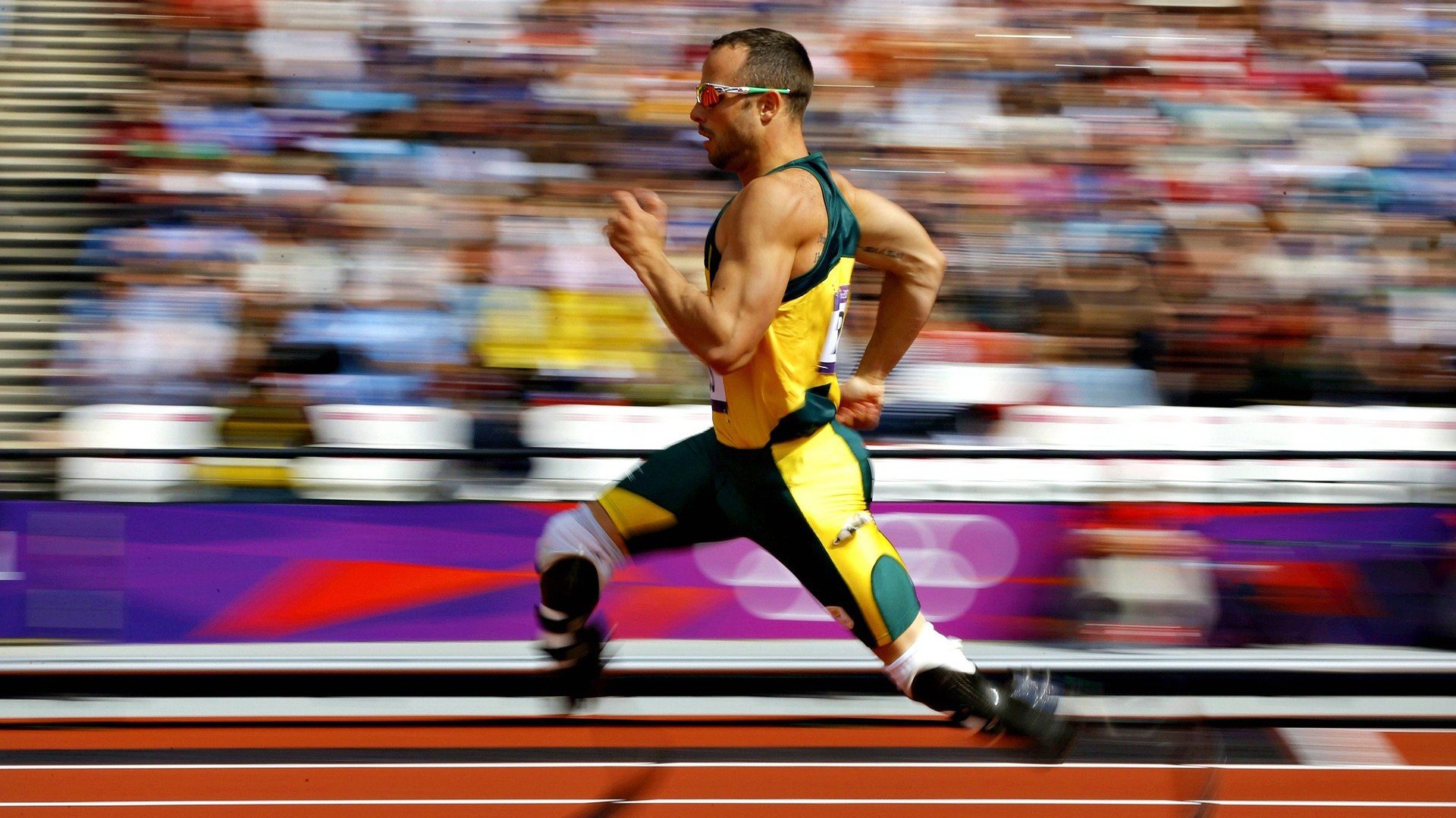 “罕见奇观：场上场下令人难以置信的趣味”，场上什么意思